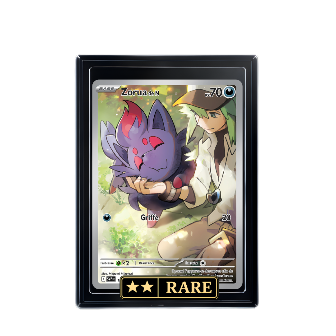 Zorua de N