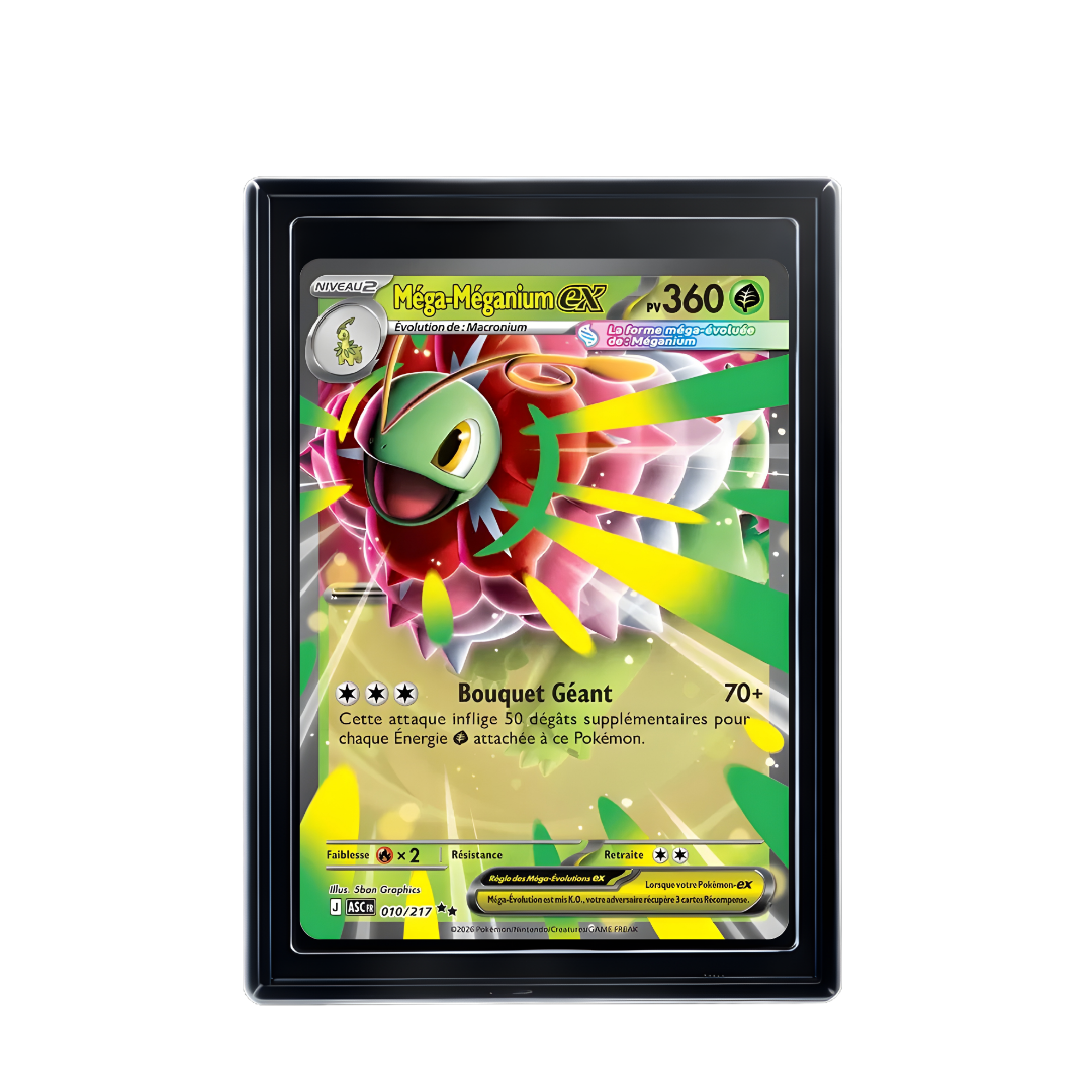 Carte Pokémon Méga-Méganium ex Hit