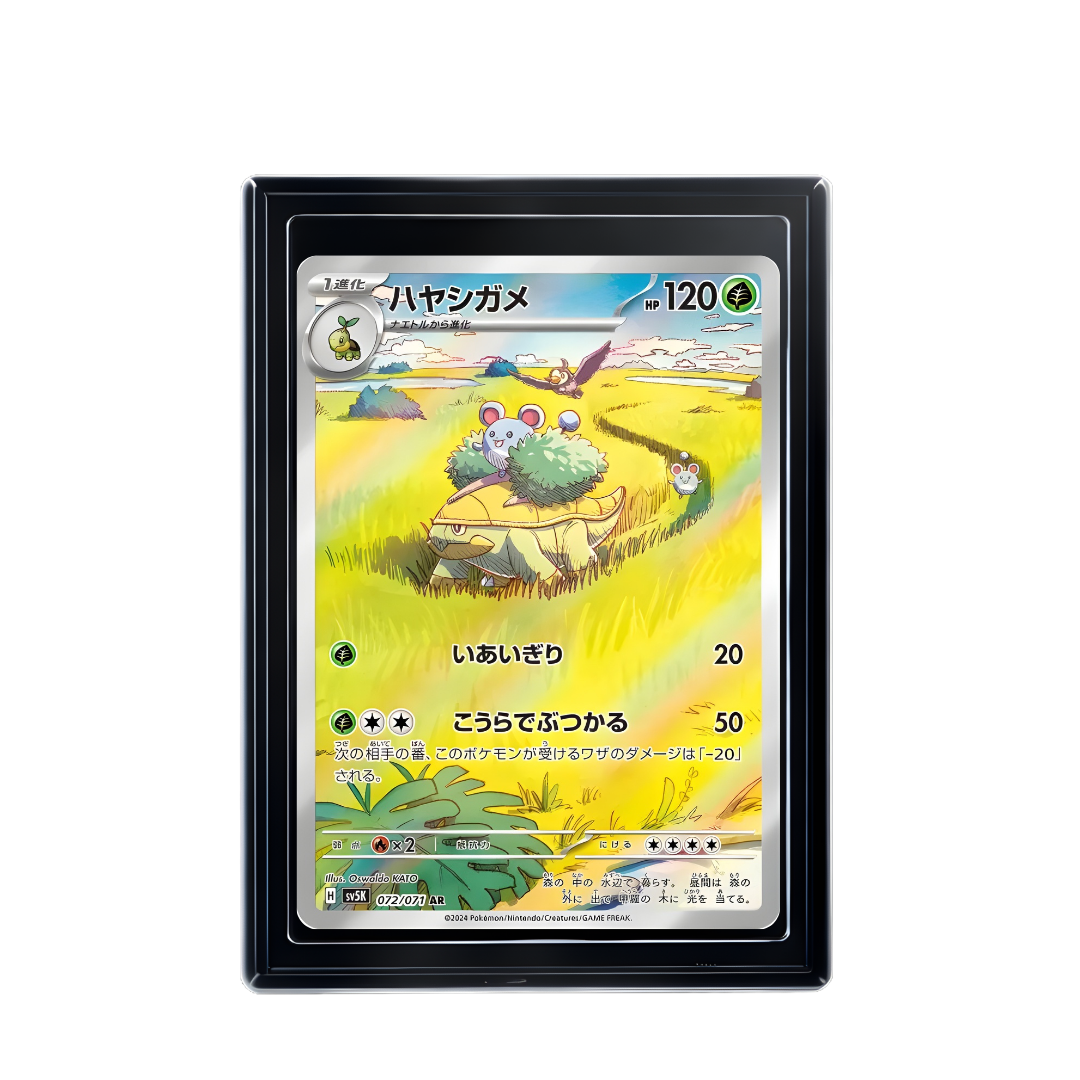 Carte Pokémon Grotle AR