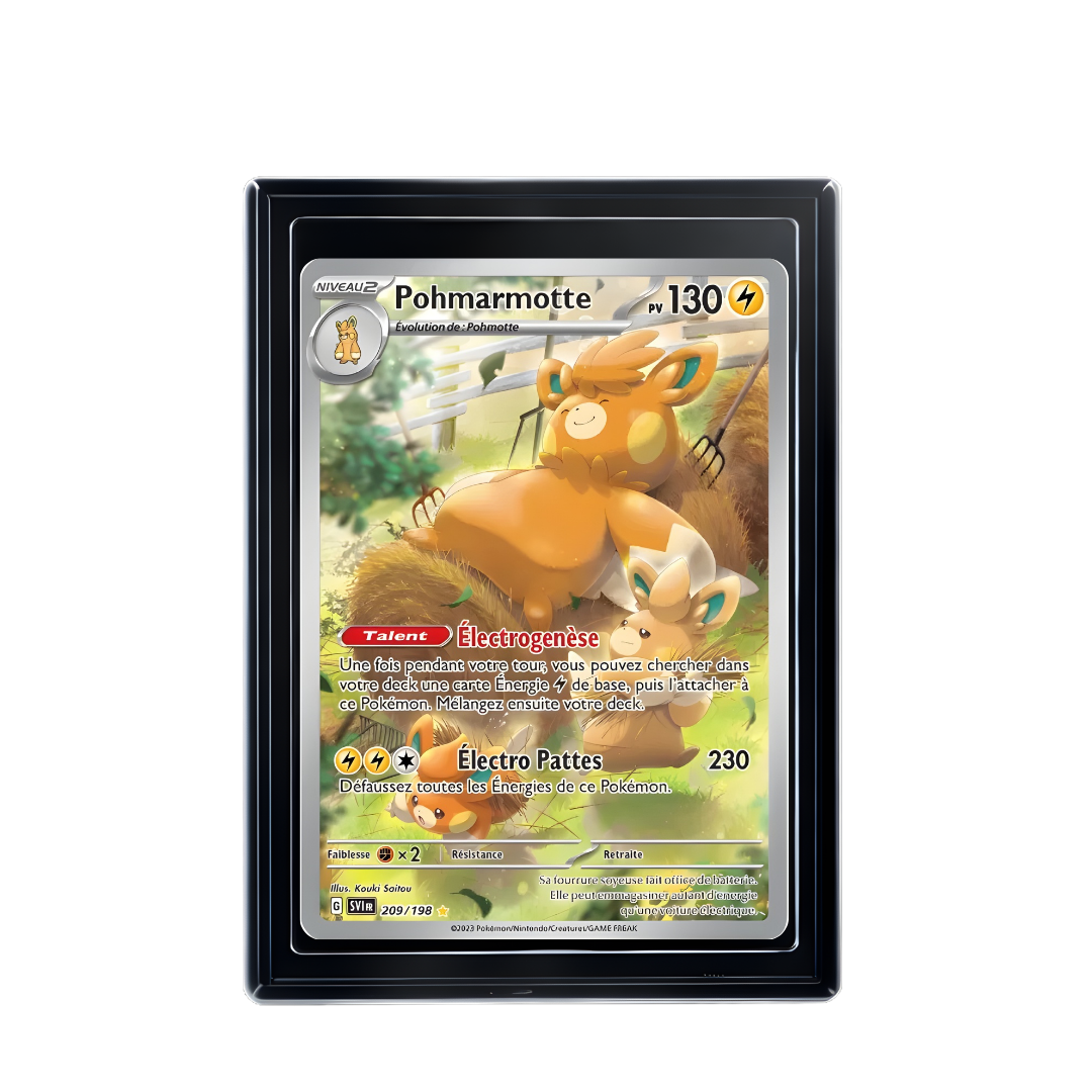 Carte Pokémon Pohmarmotte Rare