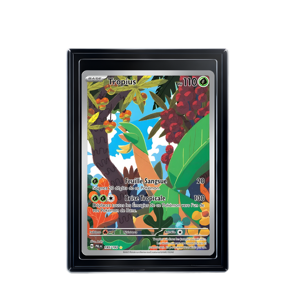 Carte Pokémon Tropius Rare