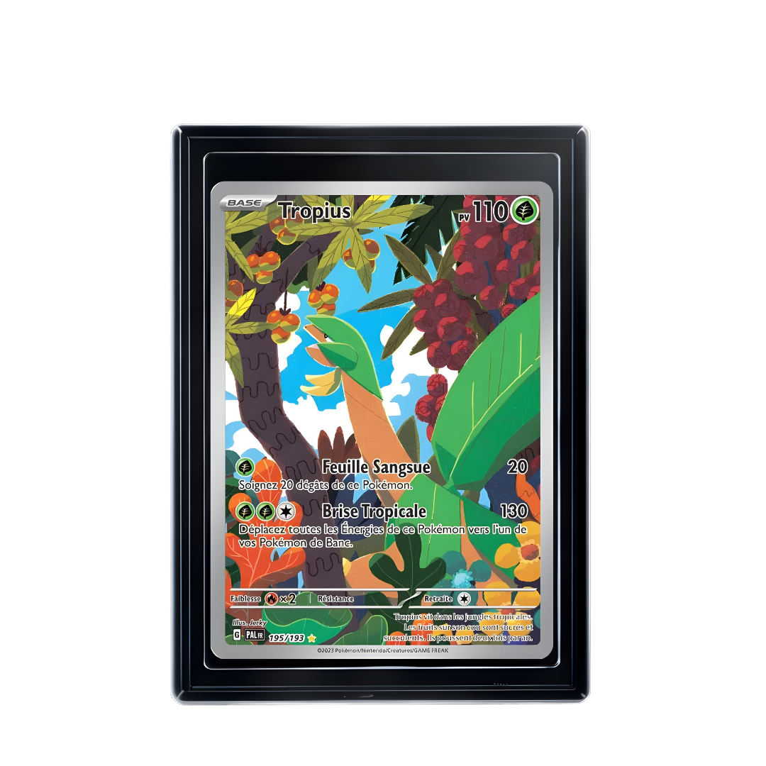 Carte Pokémon Tropius Rare
