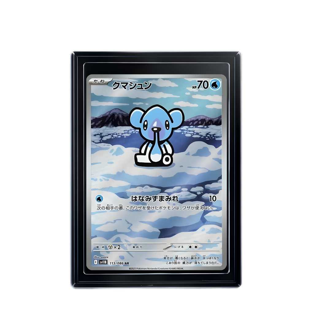 Carte Pokémon Cubchoo AR