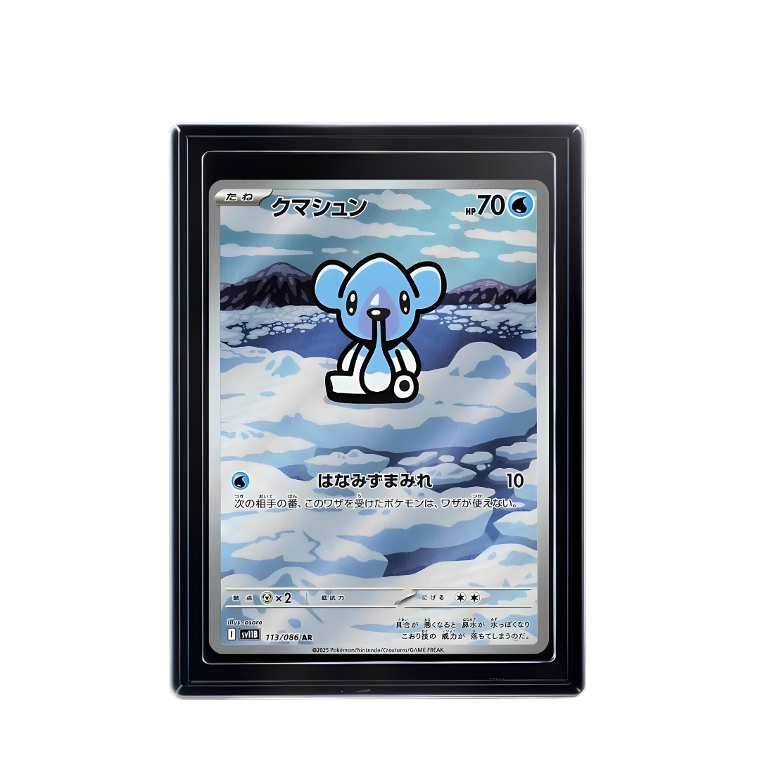 Carte Pokémon Cubchoo AR