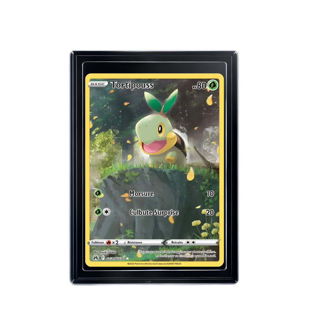 Carte Pokémon Tortipouss Rare