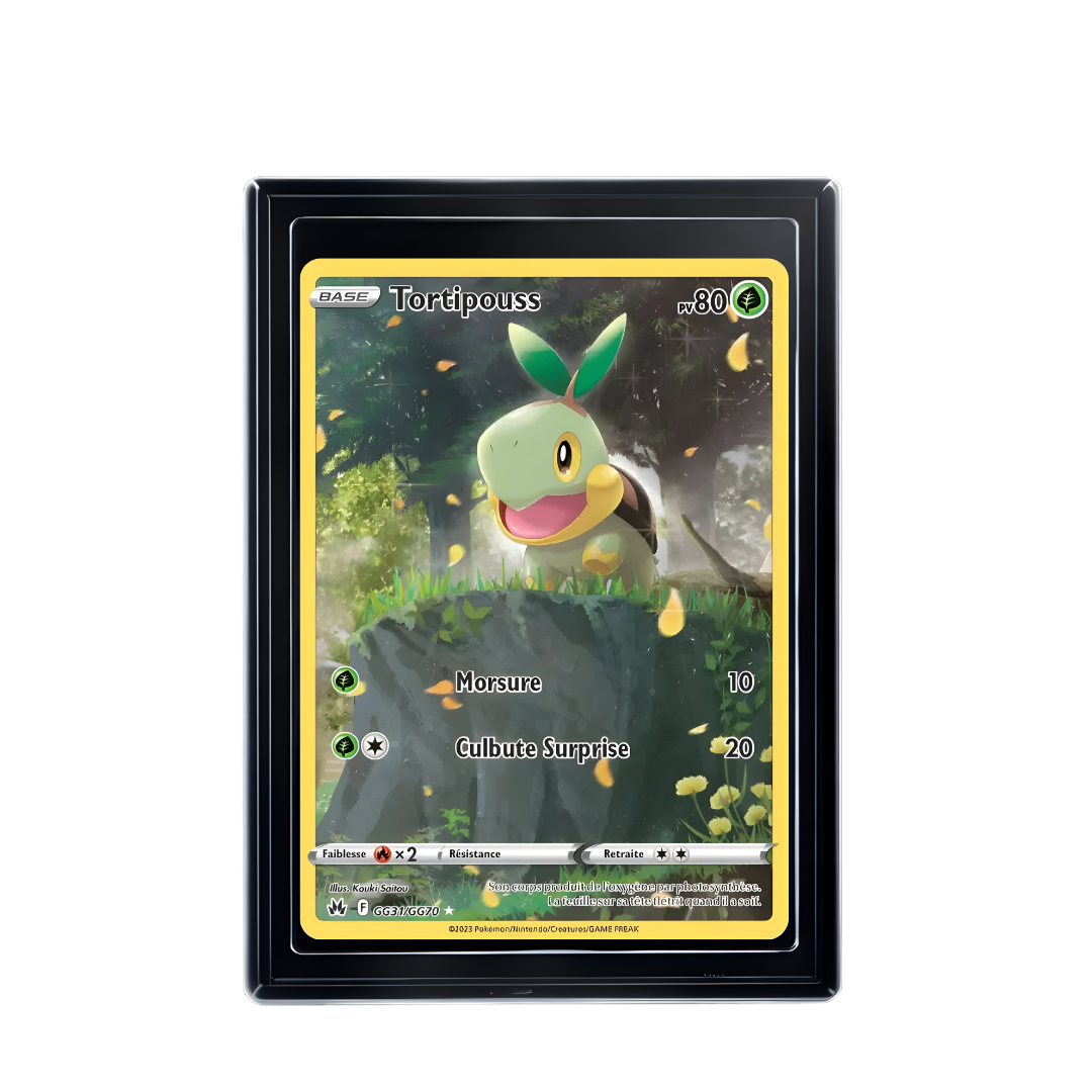 Carte Pokémon Tortipouss Rare