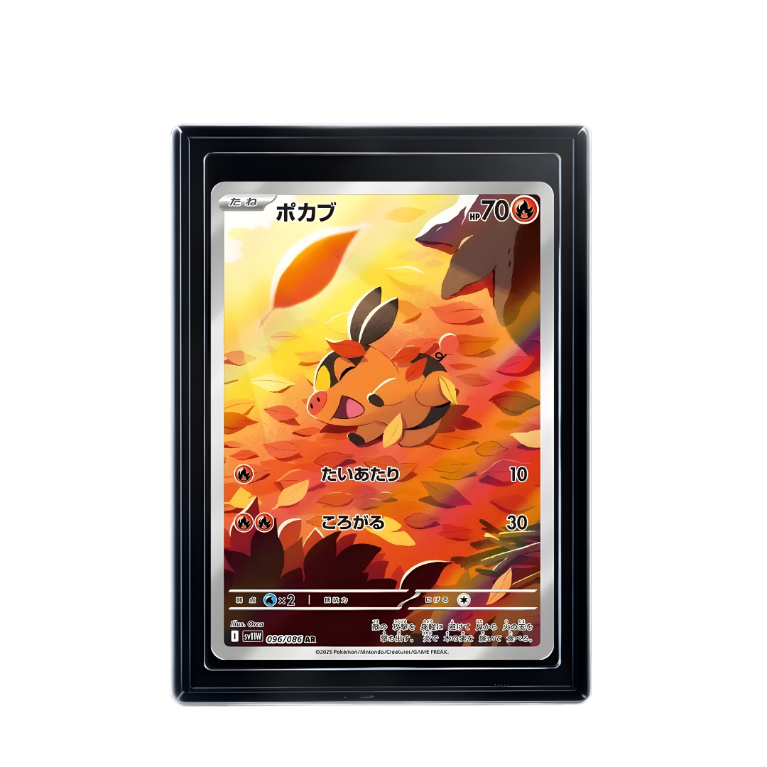 Carte Pokémon Tepig AR