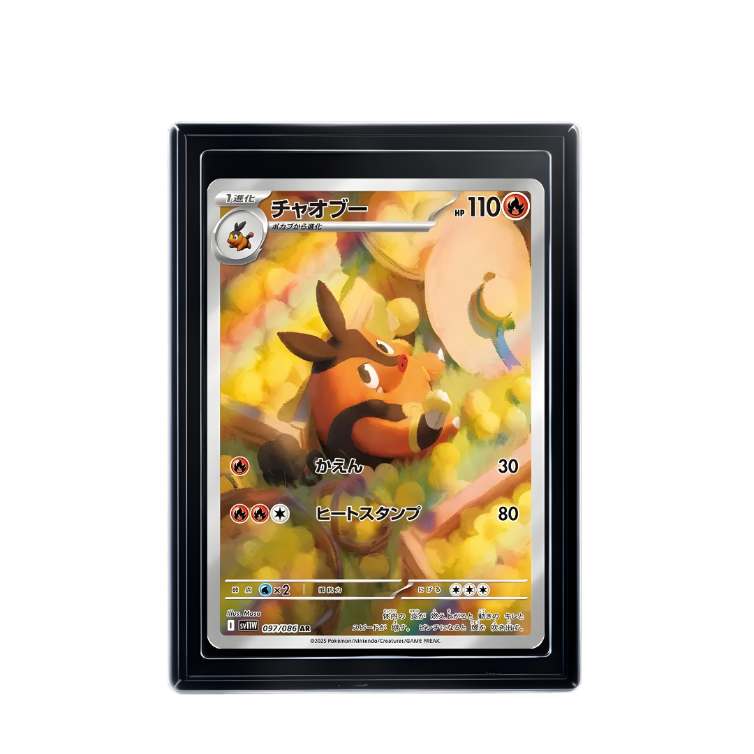 Carte Pokémon Pignite AR
