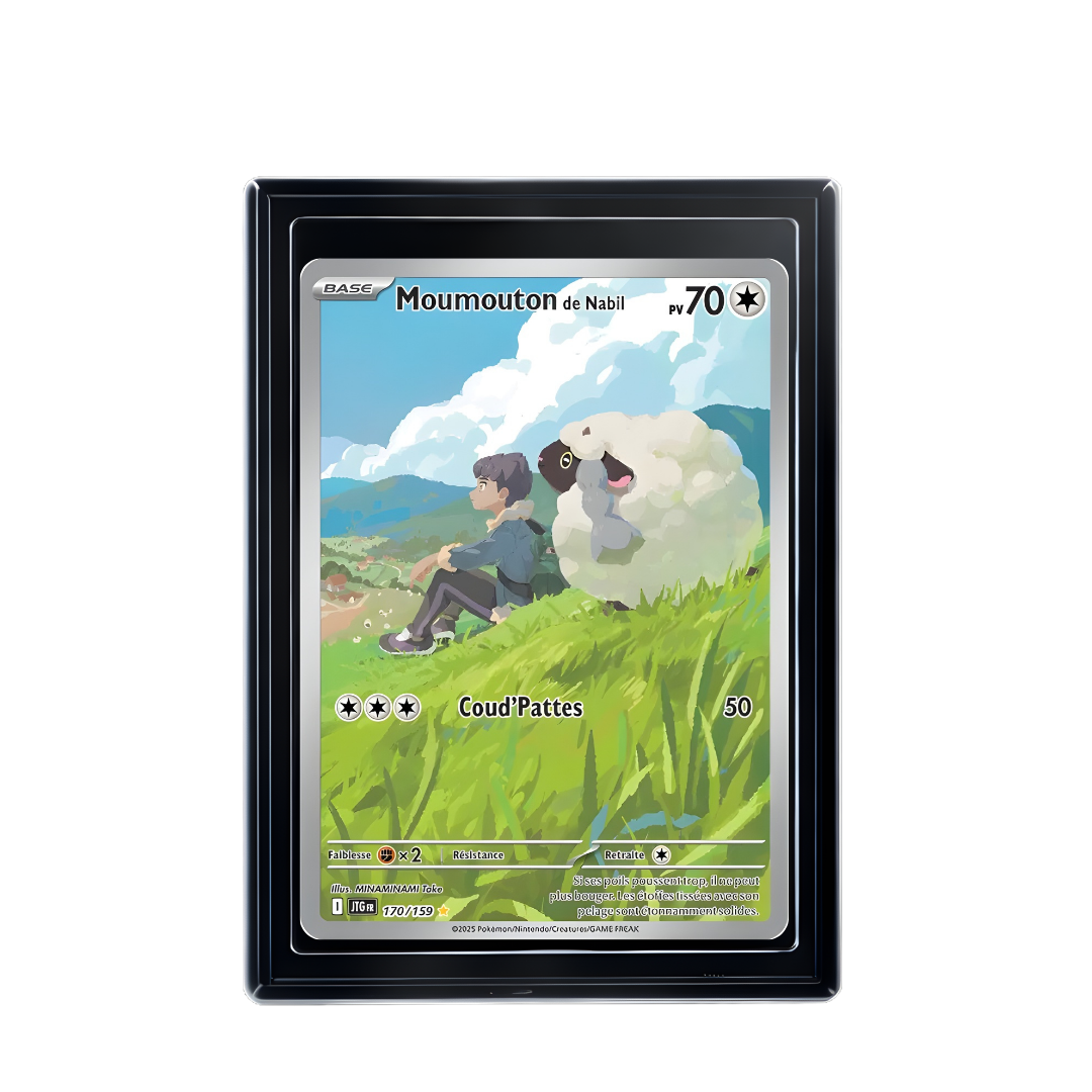 Carte Pokémon Moumouton de Nabil Rare
