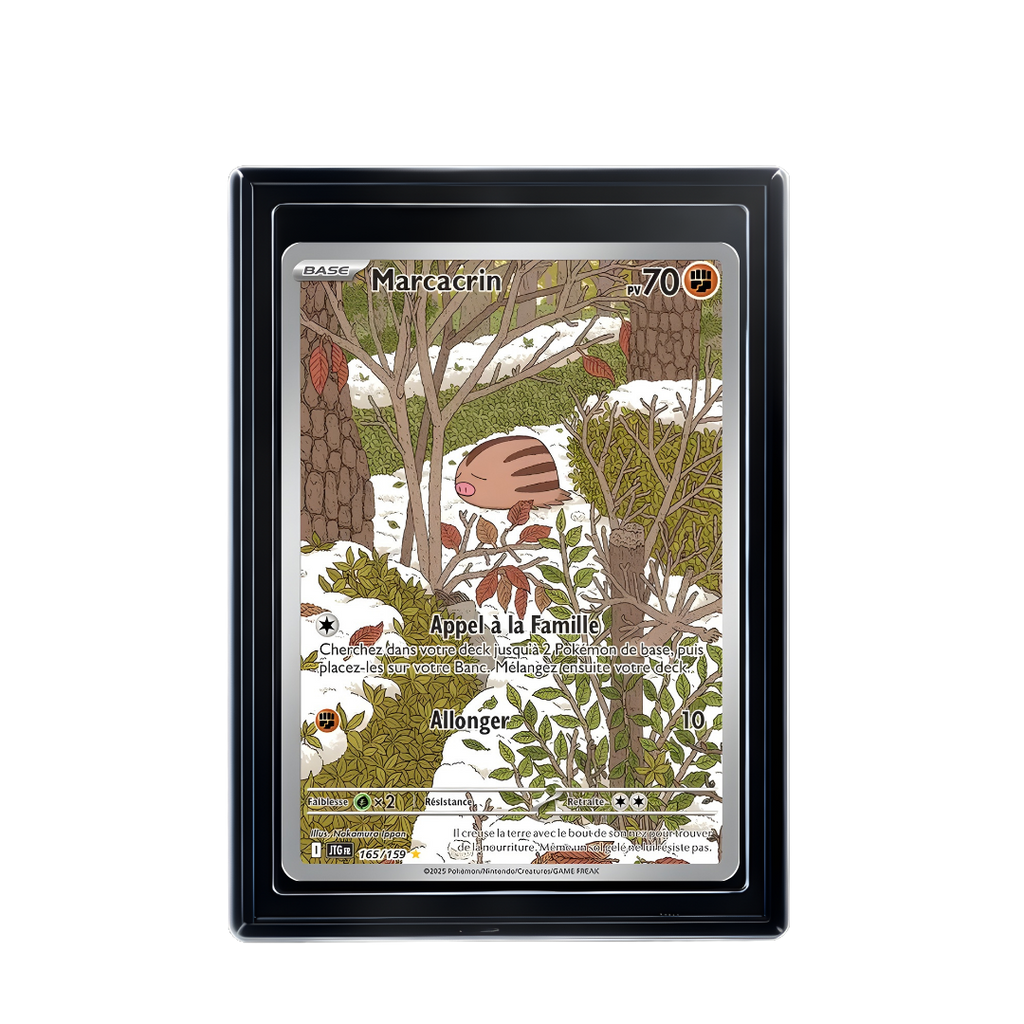 Carte Pokémon Marcacrin Rare