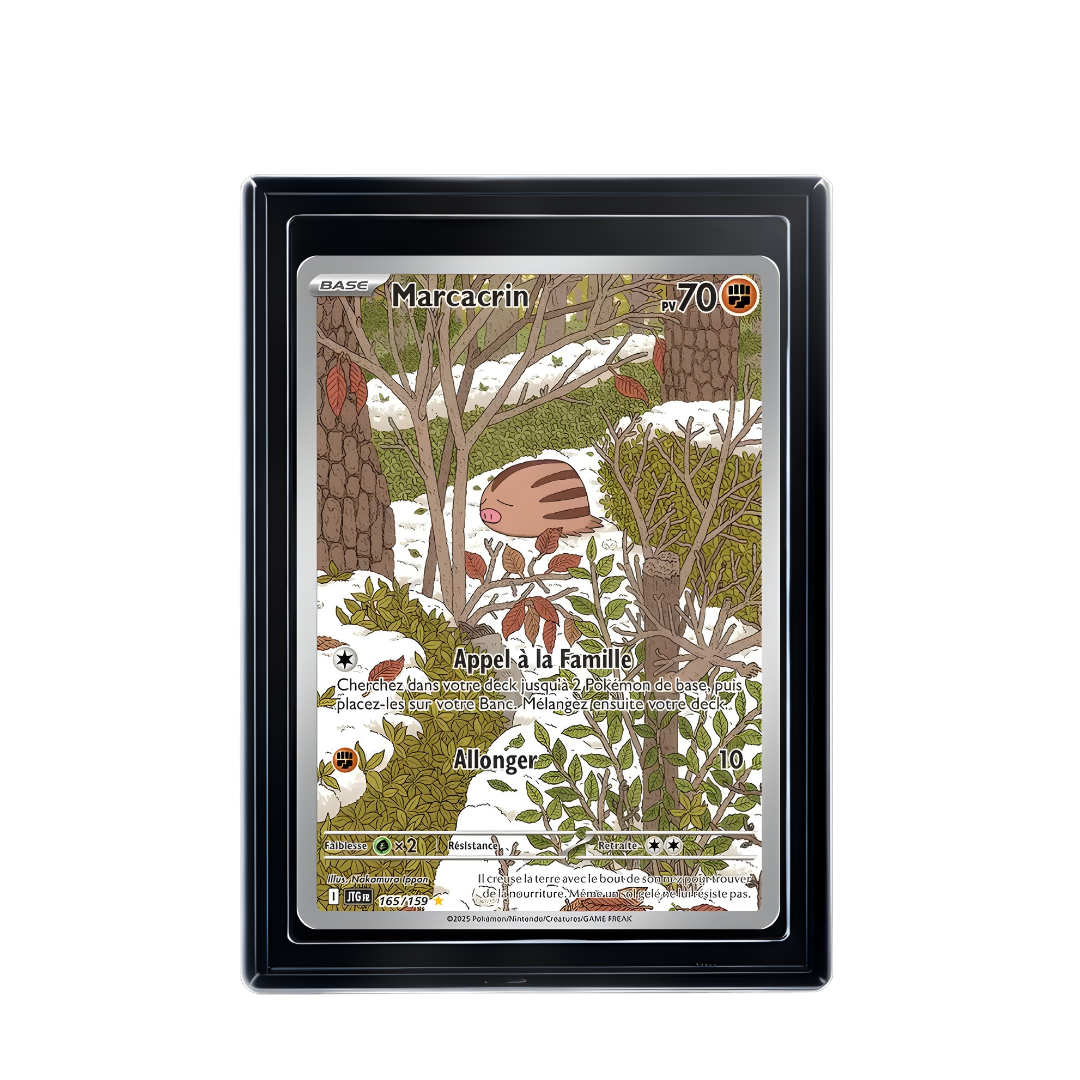 Carte Pokémon Marcacrin Rare