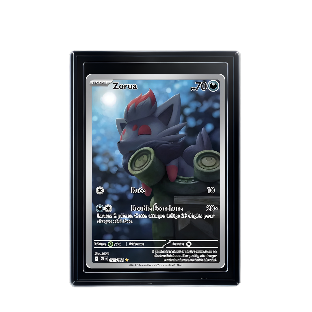 Carte Pokémon Zorua Rare