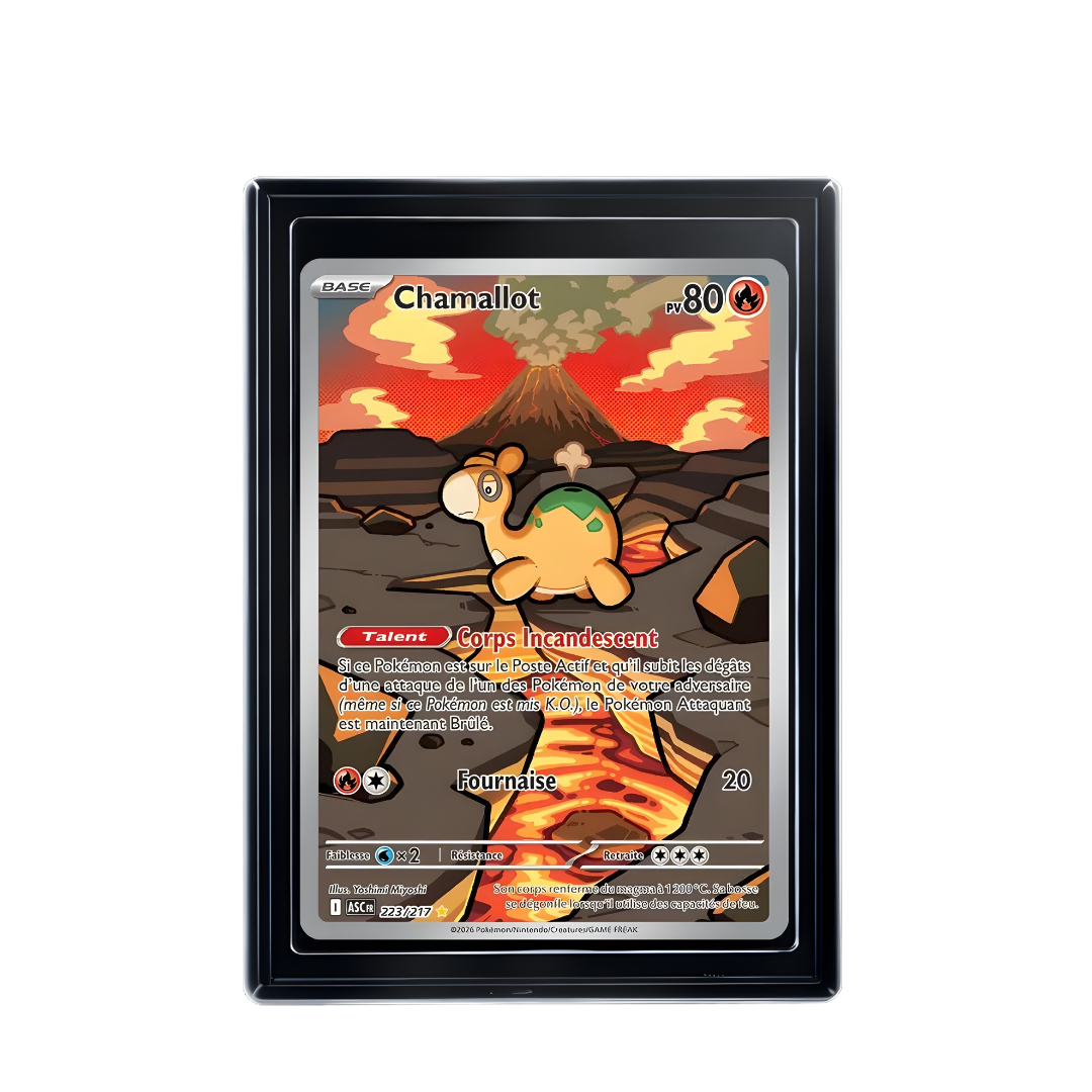 Carte Pokémon Chamallot Rare