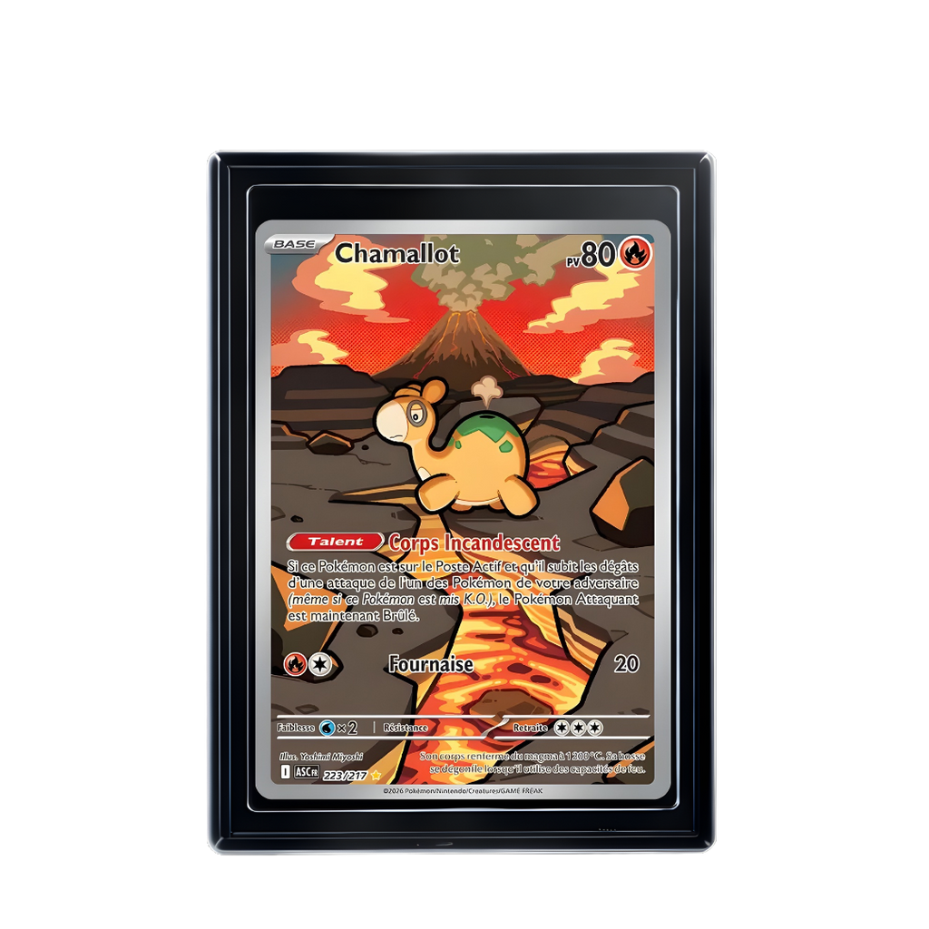 Carte Pokémon Chamallot Rare