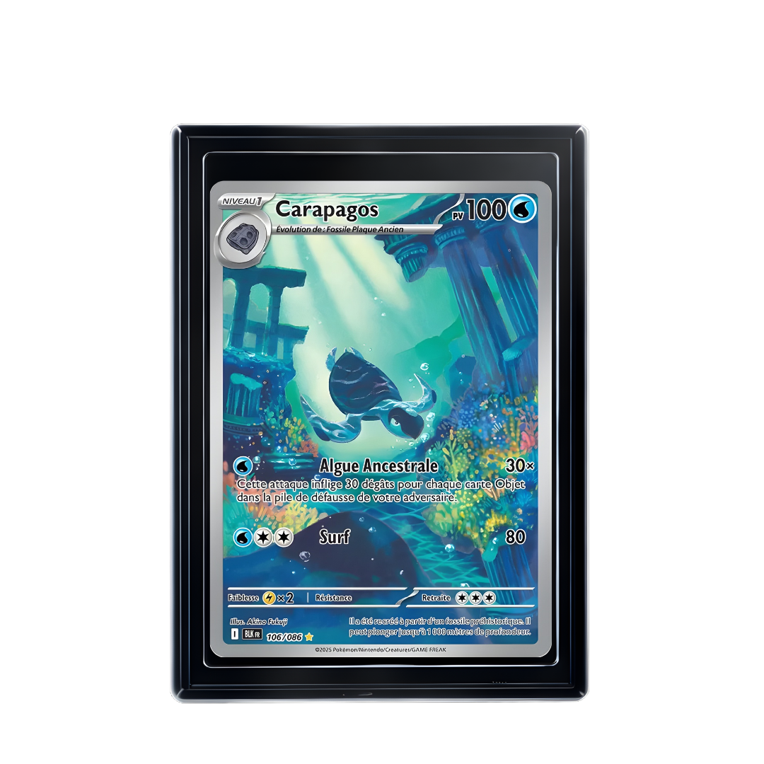 Carte Pokémon Carapagos Rare