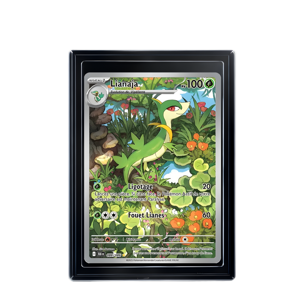 Carte Pokémon Lianaja Rare