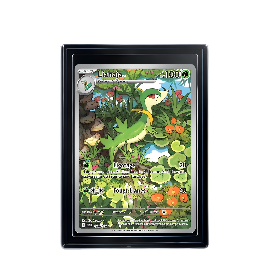 Carte Pokémon Lianaja Rare