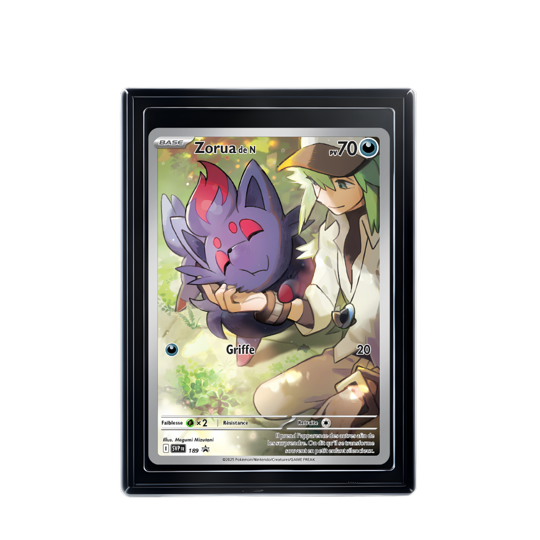 Carte Pokémon Zorua de N Rare