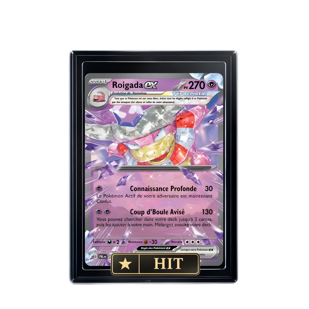 ROIGADA EX