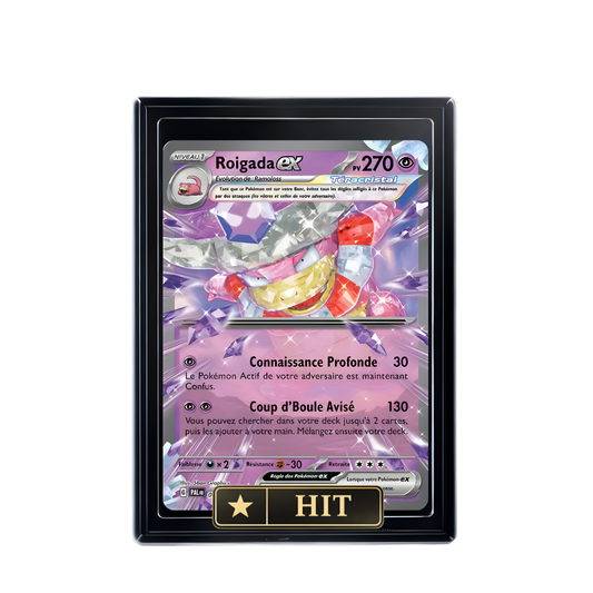 ROIGADA EX