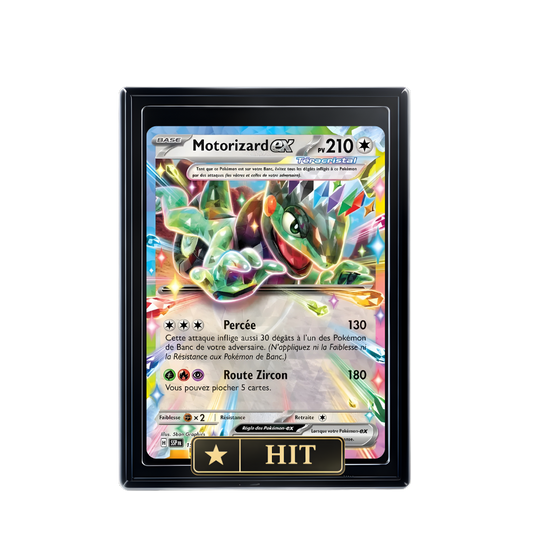MOTORIZARD EX